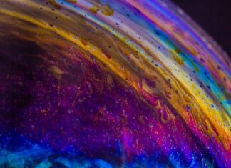 Jak zrobić domowy szampon do włosów?