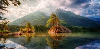 Ile kosztuje górna proteza elastyczna?